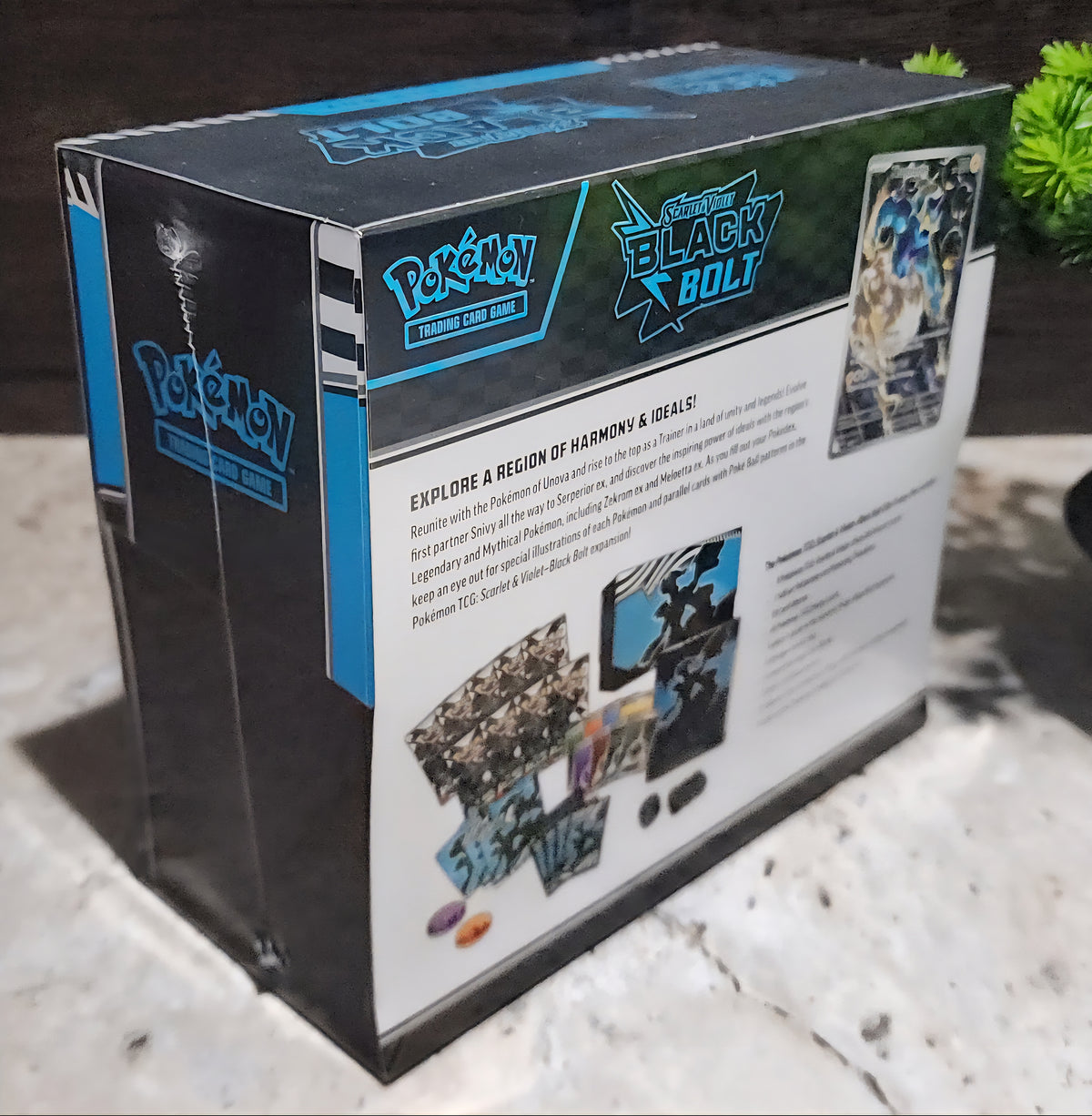 Pokemon TCG SV10.5 Black Bolt Elite Trainer Box
