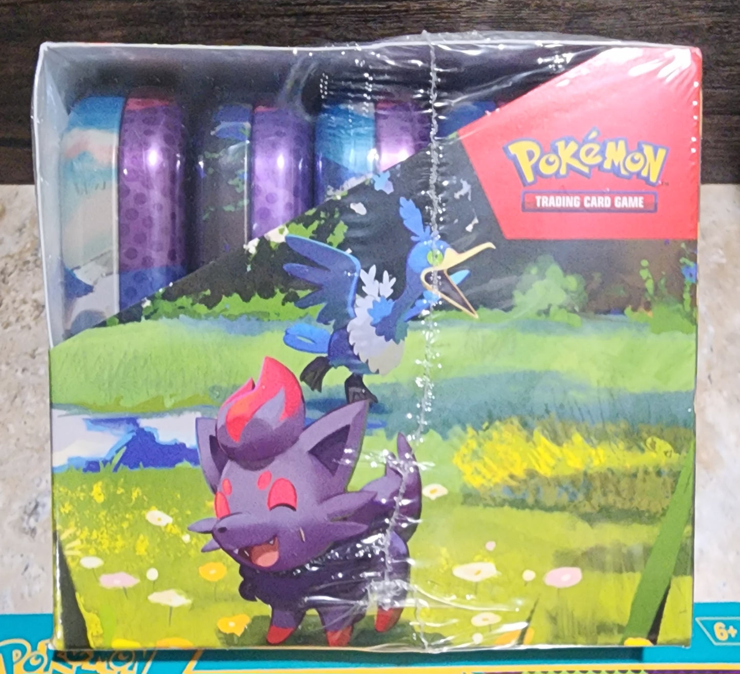 Pokemon TCG Mega Evolution Ascended Heroes Mini Tin Display (10) Factory Sealed